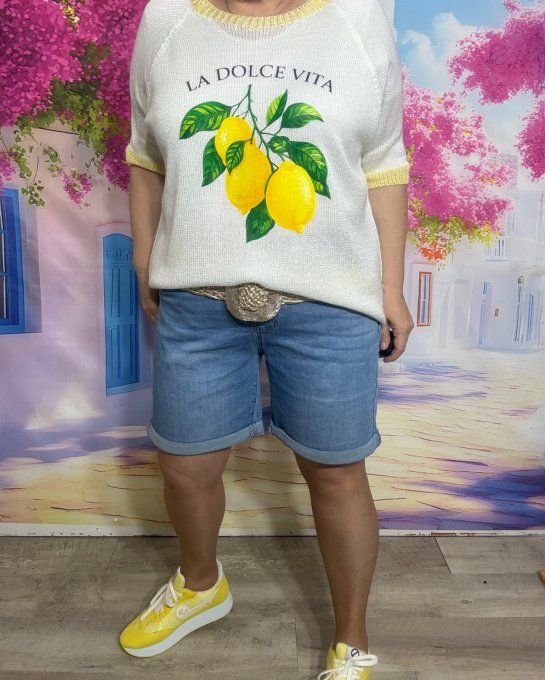 Pull fin SANS LAINE blanc & jaune clair La Dolce Vita Les Citrons du 40 au 50/52