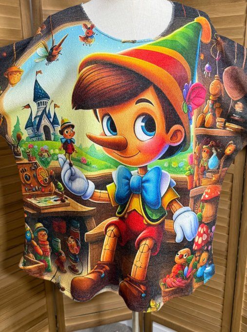 Pull fin ample multicolore malicieux Pinocchio douceur +++ du 40 au 52