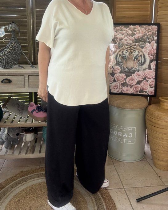 Pantalon Palazzo noir ultra extensible confort +++++ du 40 au 52