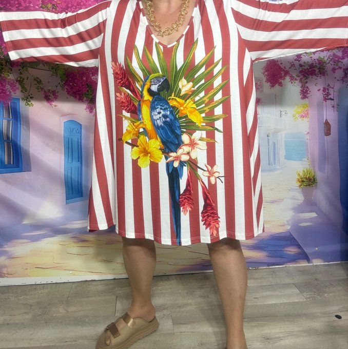 Robe trapèze courte rayée bordeaux ou maxi-tunique Les Perroquets Aras Bleus du 42 au 56 