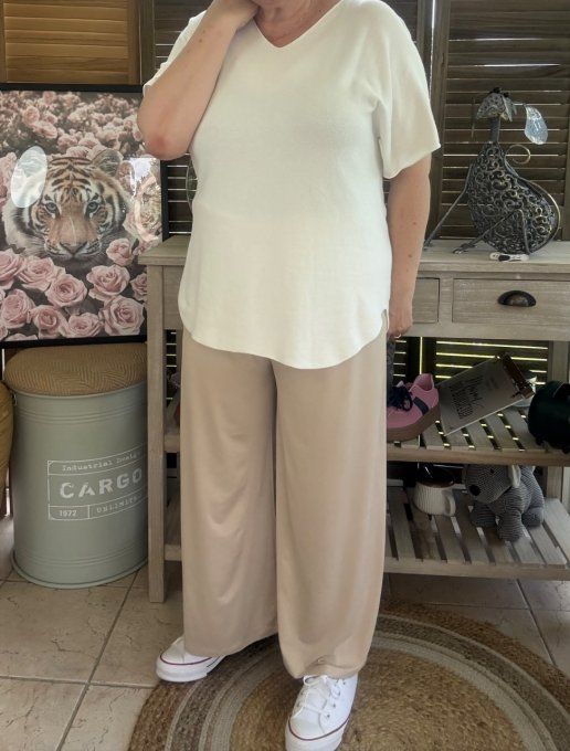 Pantalon Palazzo beige ultra extensible confort +++++ du 40 au 52
