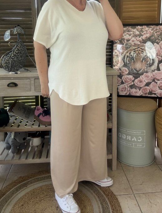 Pantalon Palazzo beige ultra extensible confort +++++ du 40 au 52