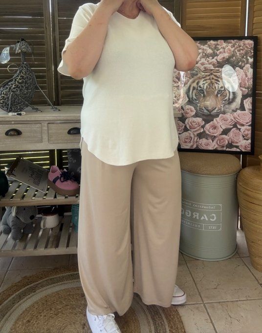 Pantalon Palazzo beige ultra extensible confort +++++ du 40 au 52