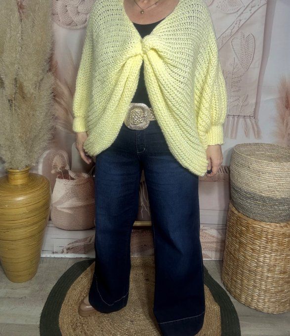 Pull ample façon Papillon manches chauve-souris jaune pâle douceur +++ du 42 au 58/60