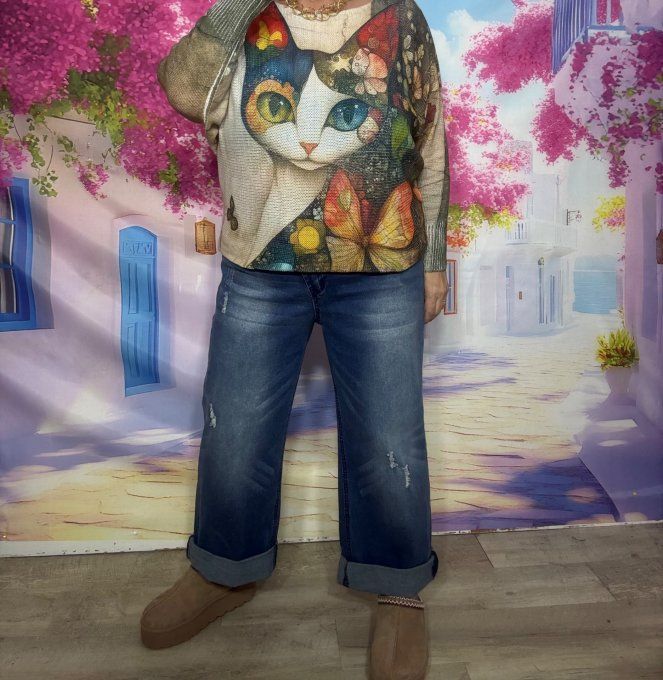 Pull fin ample SANS LAINE Le Chat Arc-en-ciel et les Papillons confort +++ du 36 au 44 