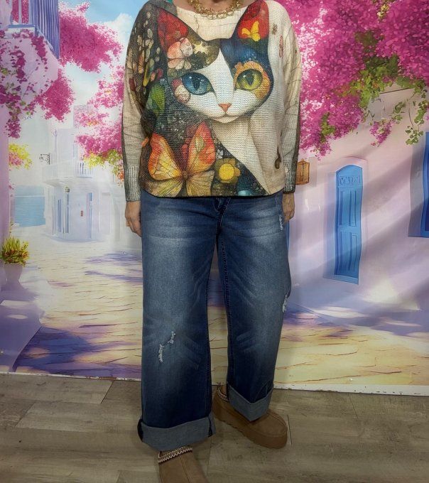 Pull fin ample SANS LAINE Le Chat Arc-en-ciel et les Papillons confort +++ du 36 au 44 
