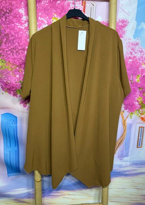 Veste trapèze asymétrique fluide manches courtes Camel douceur +++ du 40 au 52 et même + 