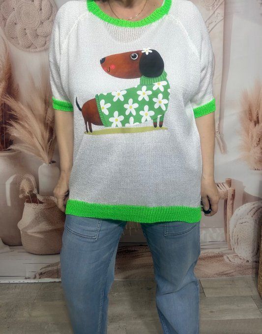 Pull fin SANS LAINE blanc & vert fluo Le Teckel pull vert aux Marguerites du 40 au 50/52  