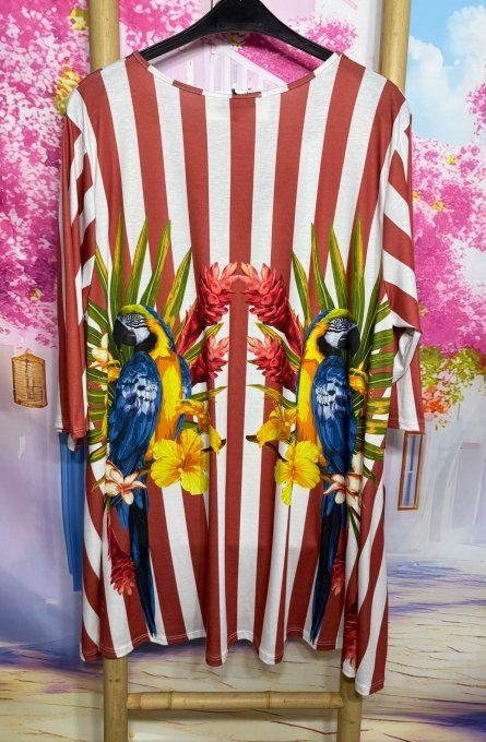 Tunique oversize longue rayé brune ou robe courte Les Perroquets Aras Bleus du 42 au 56 