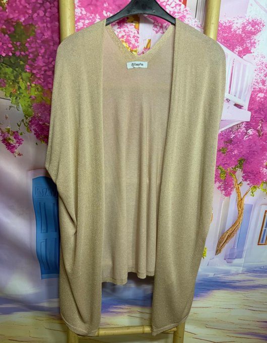 Ensemble Twin-set pull s + gilet ans manches beige Lurex pailleté doré du 42 au 54