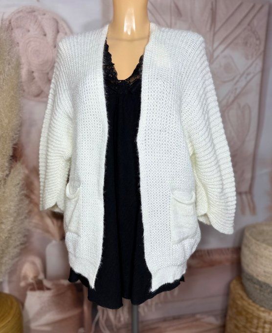 Gilet court écru toucher Mohair douceur ++++ du 34 au 40 et même +